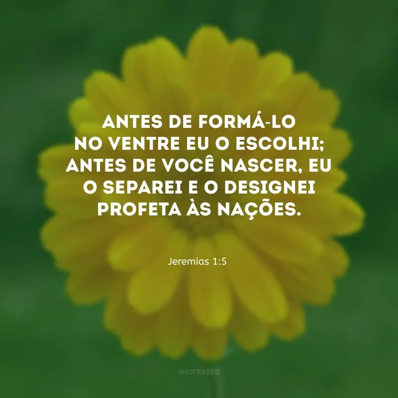 Antes de formá-lo no ventre eu o escolhi; antes de você nascer, eu o separei e o designei profeta às nações.