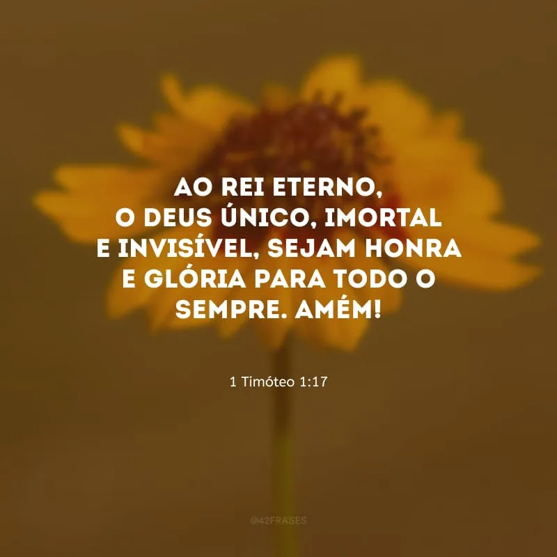Ao Rei eterno, o Deus único, imortal e invisível, sejam honra e glória para todo o sempre. Amém!
