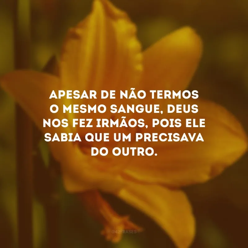 Apesar de não termos o mesmo sangue, Deus nos fez irmãos, pois ele sabia que um precisava do outro. 