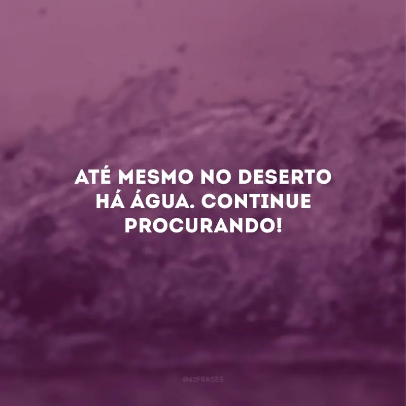 Até mesmo no deserto há água. Continue procurando!