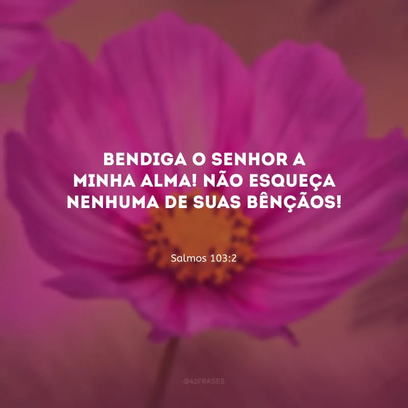 Bendiga o Senhor a minha alma! Não esqueça nenhuma de suas bênçãos!