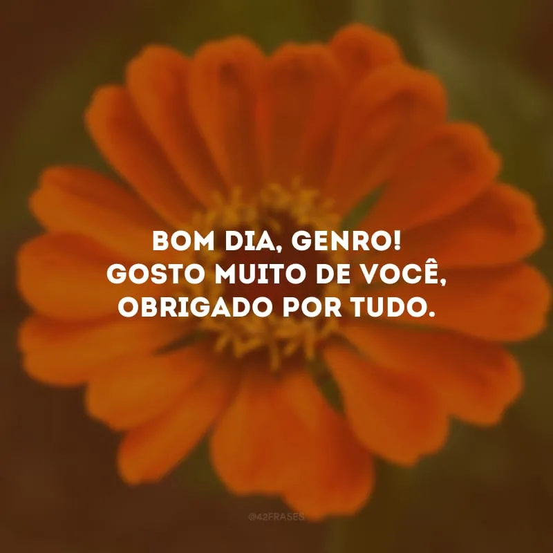 Bom dia, genro! Gosto muito de você, obrigado por tudo. 