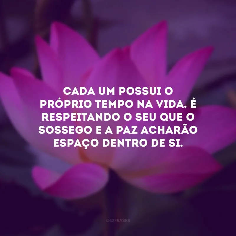 Cada um possui o próprio tempo na vida. É respeitando o seu que o sossego e a paz acharão espaço dentro de si. 