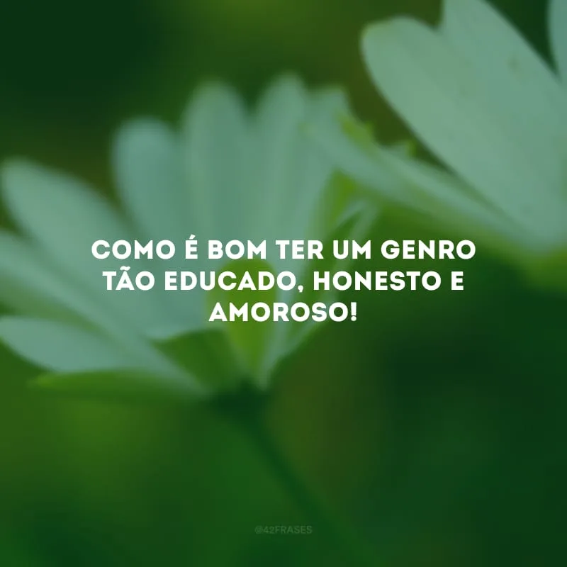 Como é bom ter um genro tão educado, honesto e amoroso!