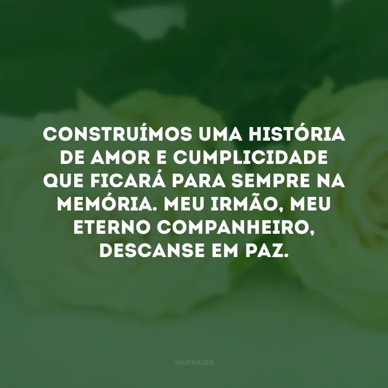 Construímos uma história de amor e cumplicidade que ficará para sempre na memória. Meu irmão, meu eterno companheiro, descanse em paz.