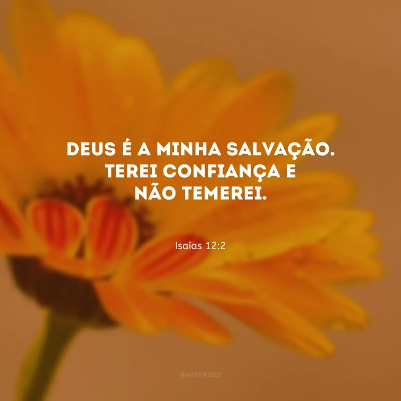 Deus é a minha salvação. Terei confiança e não temerei.