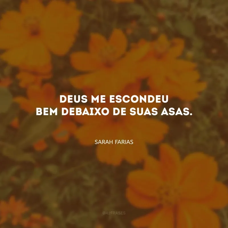 Deus me escondeu bem debaixo de suas asas.