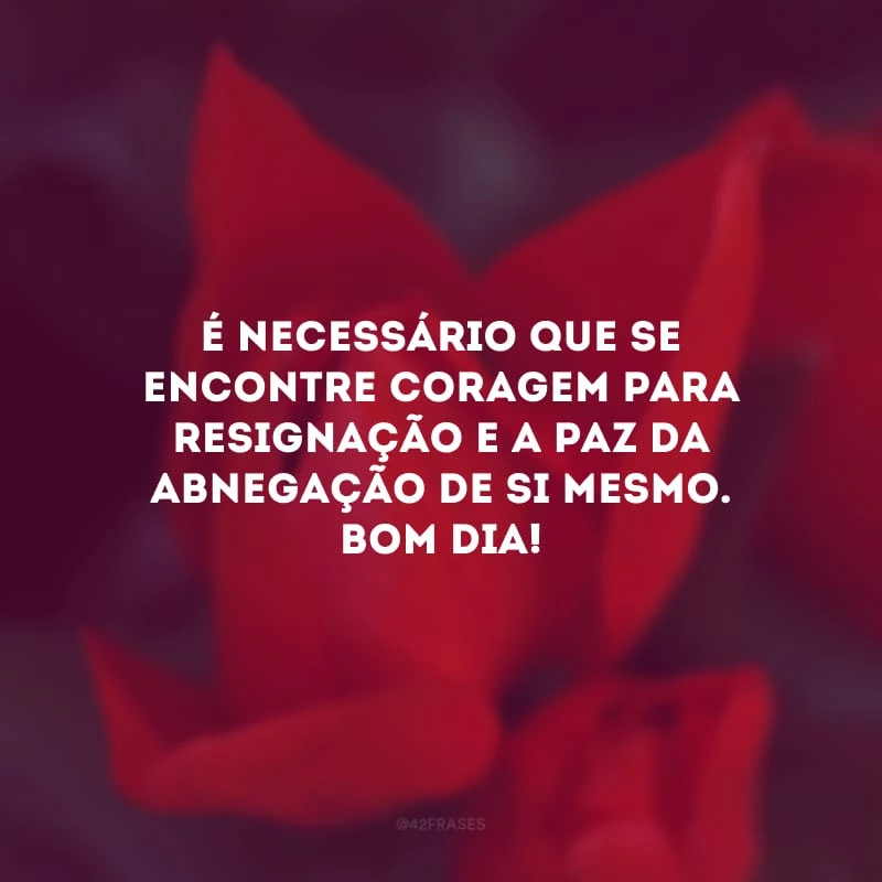 É necessário que se encontre coragem para resignação e a paz da abnegação de si mesmo. Bom dia!