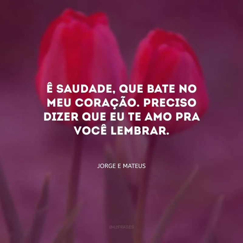 Ê saudade, que bate no meu coração. Preciso dizer que eu te amo pra você lembrar.