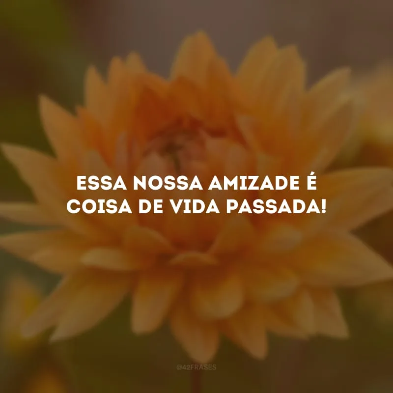 Essa nossa amizade é coisa de vida passada! 