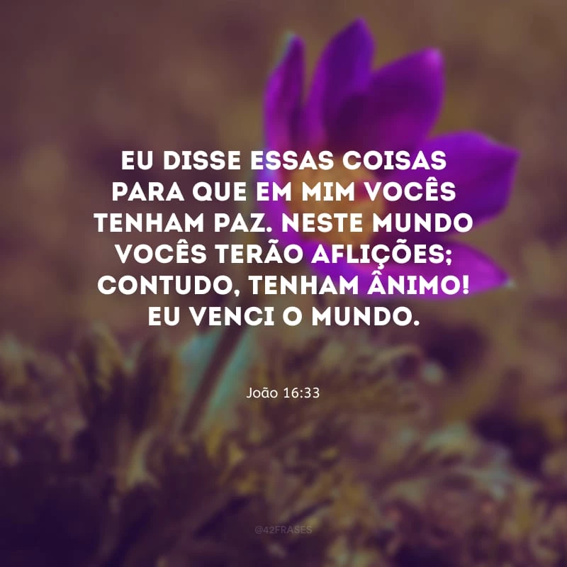 Eu disse essas coisas para que em mim vocês tenham paz. Neste mundo vocês terão aflições; contudo, tenham ânimo! Eu venci o mundo.