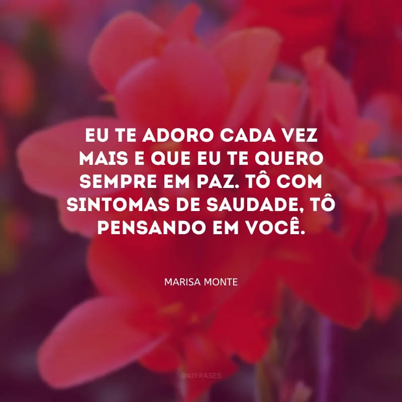 Eu te adoro cada vez mais e que eu te quero sempre em paz. Tô com sintomas de saudade, tô pensando em você.