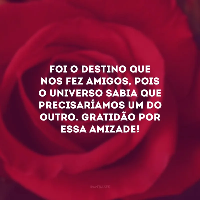 Foi o destino que nos fez amigos, pois o universo sabia que precisaríamos um do outro. Gratidão por essa amizade! 