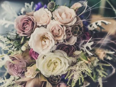60 frases de bom dia com flores para embelezar todas as manhãs