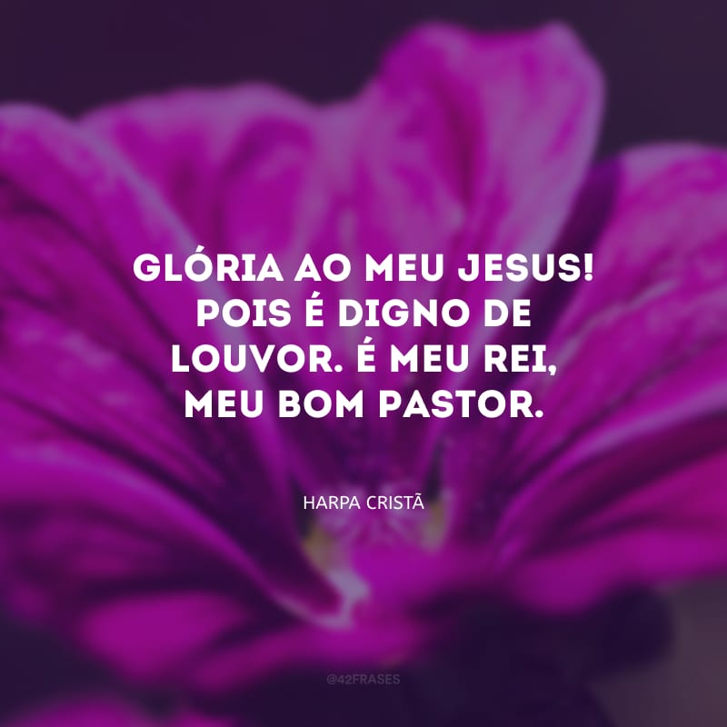 Glória ao meu Jesus! Pois é digno de louvor. É meu Rei, meu bom Pastor.