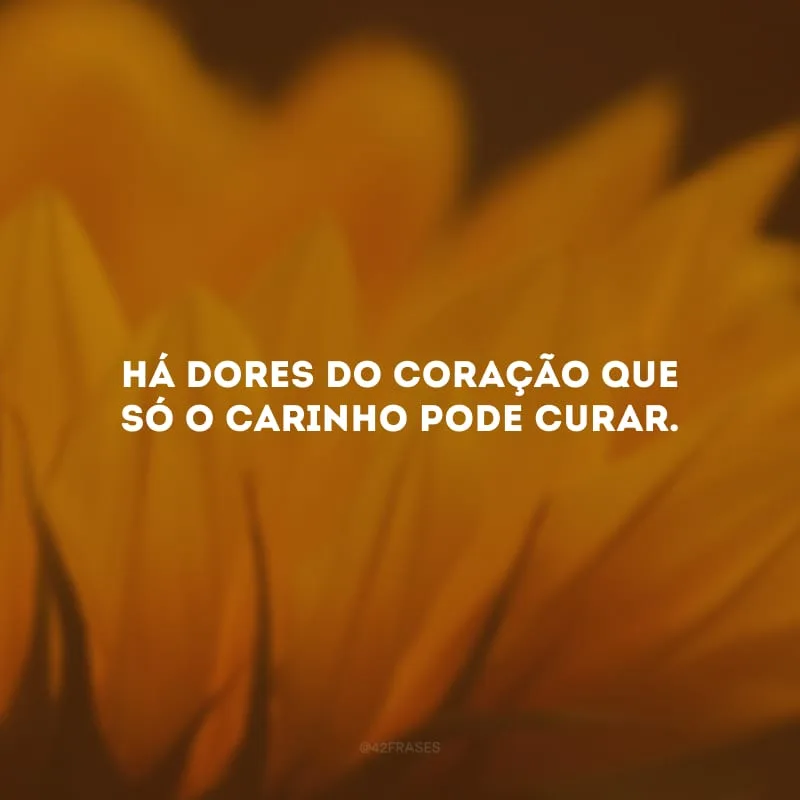 Há dores do coração que só o carinho pode curar.