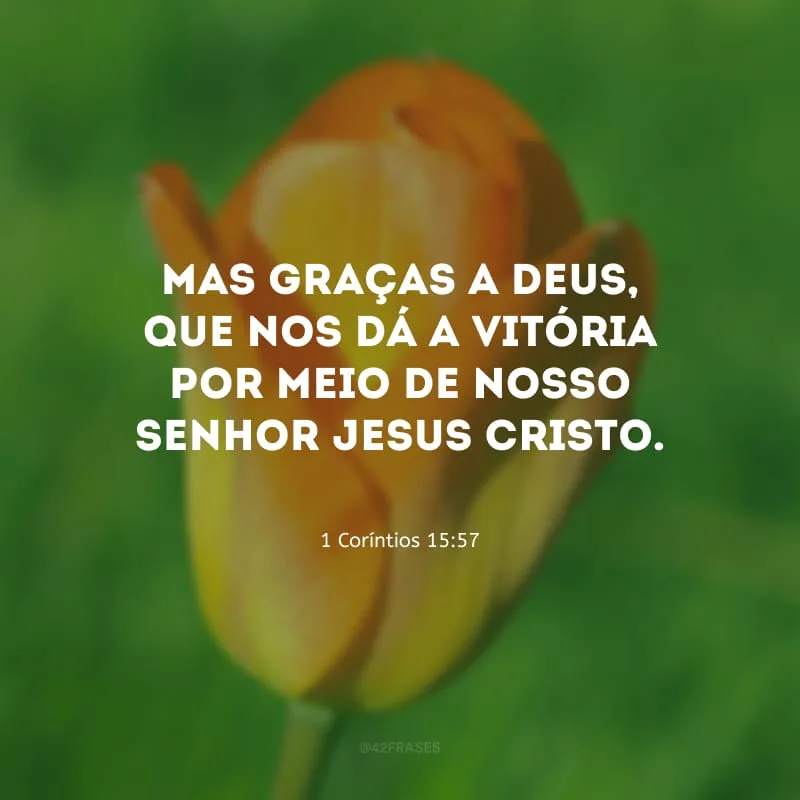 Mas graças a Deus, que nos dá a vitória por meio de nosso Senhor Jesus Cristo.