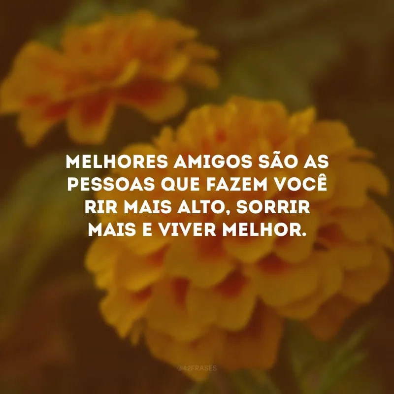 Melhores amigos são as pessoas que fazem você rir mais alto, sorrir mais e viver melhor.