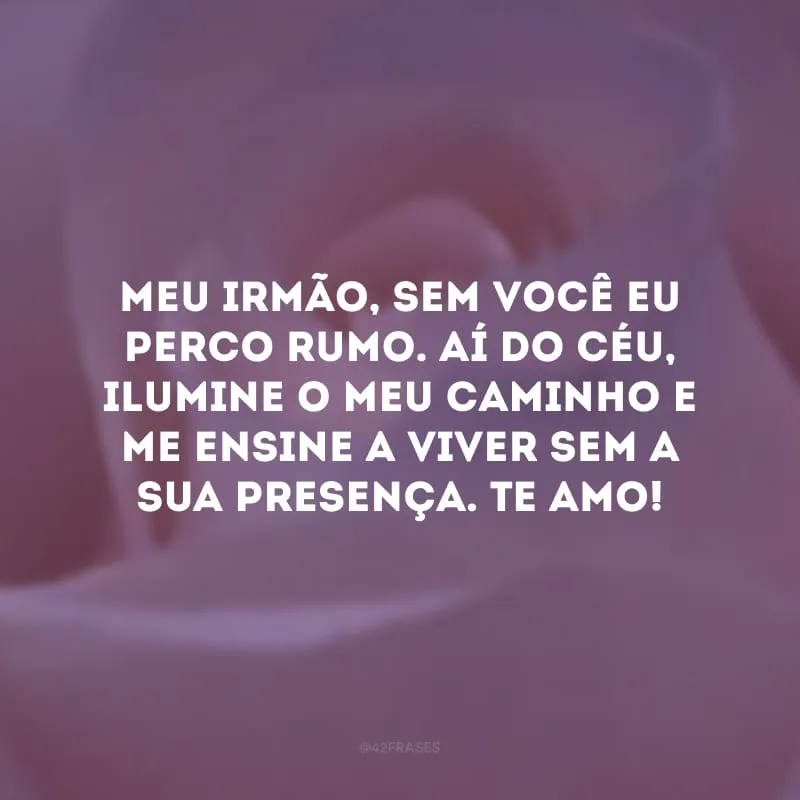 Meu irmão, sem você eu perco rumo. Aí do céu, ilumine o meu caminho e me ensine a viver sem a sua presença. Te amo!
