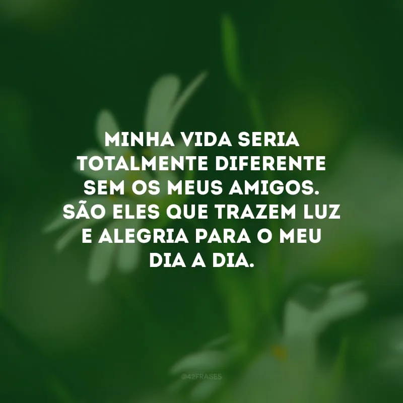 Minha vida seria totalmente diferente sem os meus amigos. São eles que trazem luz e alegria para o meu dia a dia. 