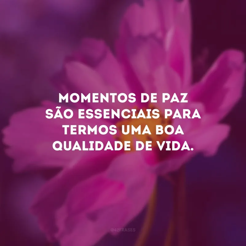 Momentos de paz são essenciais para termos uma boa qualidade de vida.
