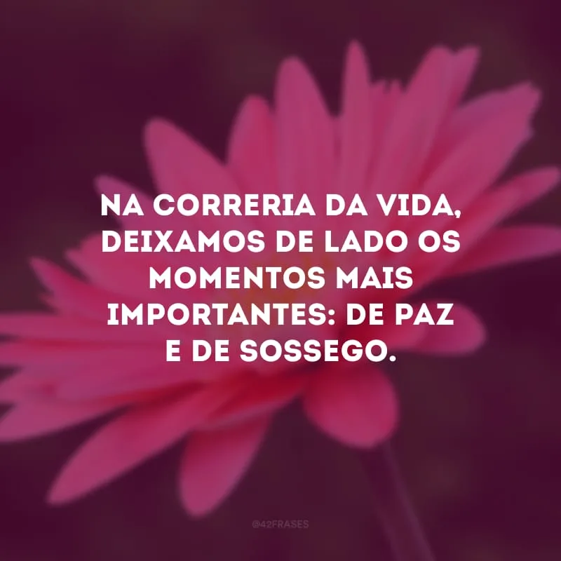 Na correria da vida, deixamos de lado os momentos mais importantes: de paz e de sossego.