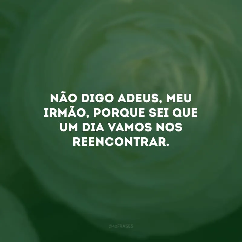 Não digo adeus, meu irmão, porque sei que um dia vamos nos reencontrar. Meu coração de luto sofre de saudade.