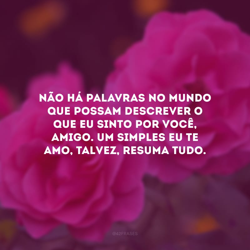 Não há palavras no mundo que possam descrever o que eu sinto por você, amigo. Um simples eu te amo, talvez, resuma tudo. 