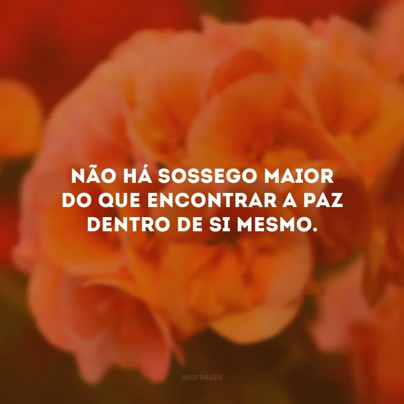Não há sossego maior do que encontrar a paz dentro de si mesmo.