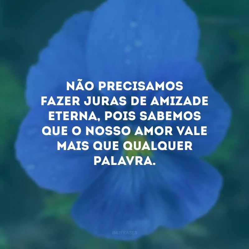 Não precisamos fazer juras de amizade eterna, pois sabemos que o nosso amor vale mais que qualquer palavra. 
