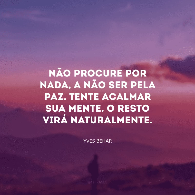 Não procure por nada, a não ser pela paz. Tente acalmar sua mente. O resto virá naturalmente.