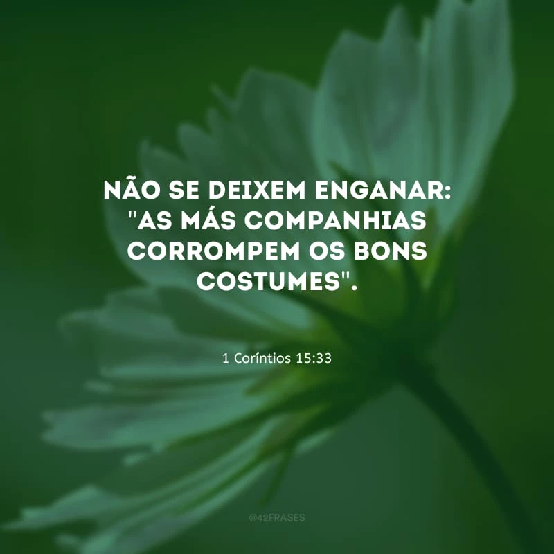 Não se deixem enganar: \