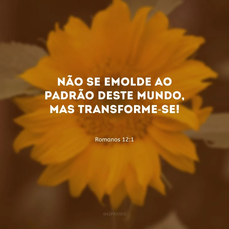 Não se emolde ao padrão deste mundo, mas transforme-se!
