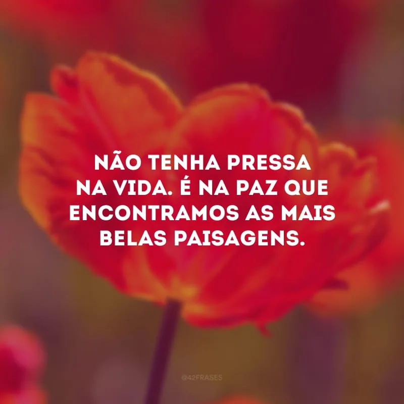 Não tenha pressa na vida. É na paz que encontramos as mais belas paisagens.