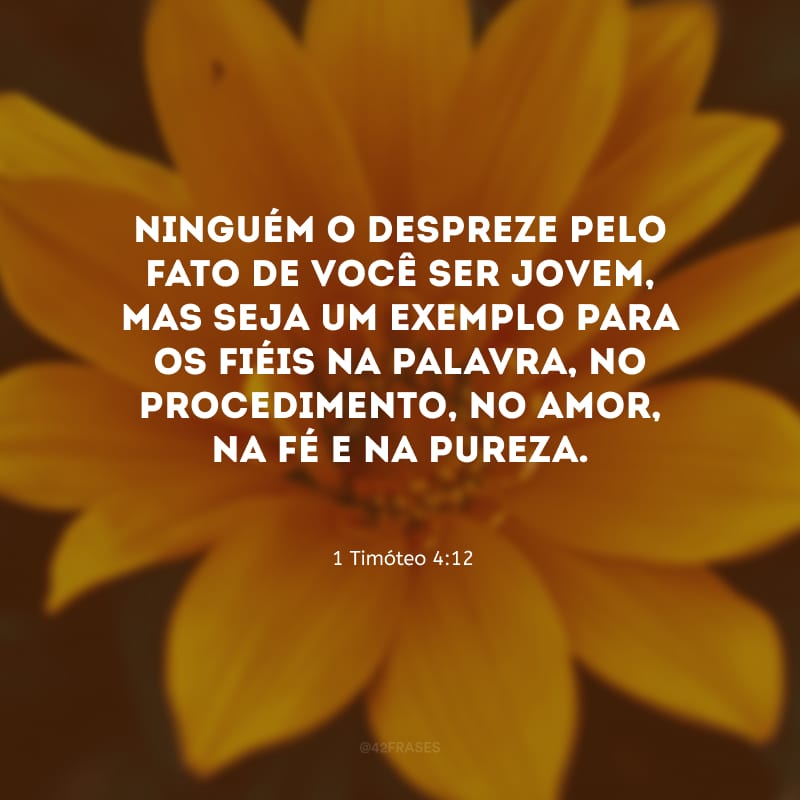 Ninguém o despreze pelo fato de você ser jovem, mas seja um exemplo para os fiéis na palavra, no procedimento, no amor, na fé e na pureza. 
