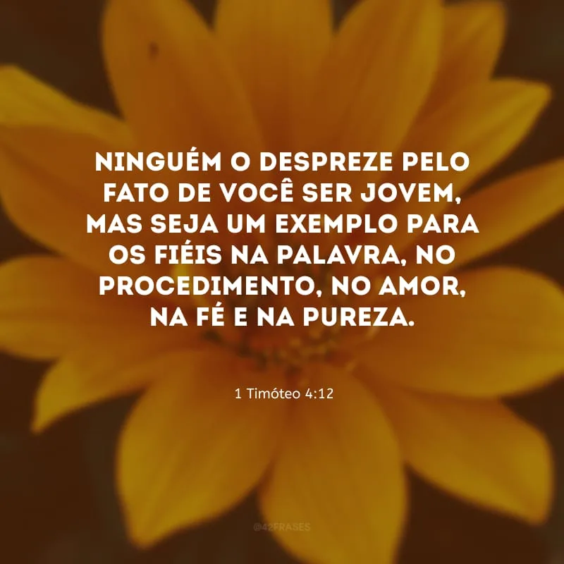 Ninguém o despreze pelo fato de você ser jovem, mas seja um exemplo para os fiéis na palavra, no procedimento, no amor, na fé e na pureza. 