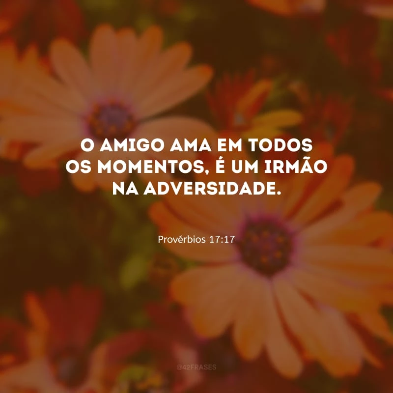 O amigo ama em todos os momentos, é um irmão na adversidade.