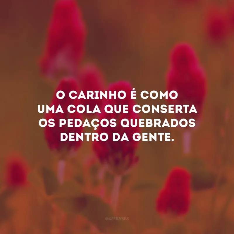 O carinho é como uma cola que conserta os pedaços quebrados dentro da gente.