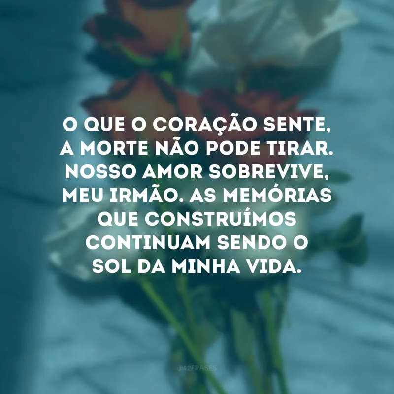 O que o coração sente, a morte não pode tirar. Nosso amor sobrevive, meu irmão. As memórias que construímos continuam sendo o sol da minha vida.