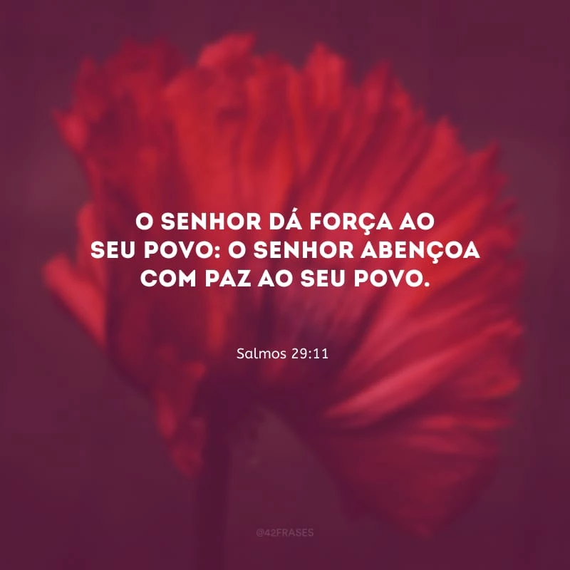 O Senhor dá força ao seu povo: o Senhor abençoa com paz ao seu povo.