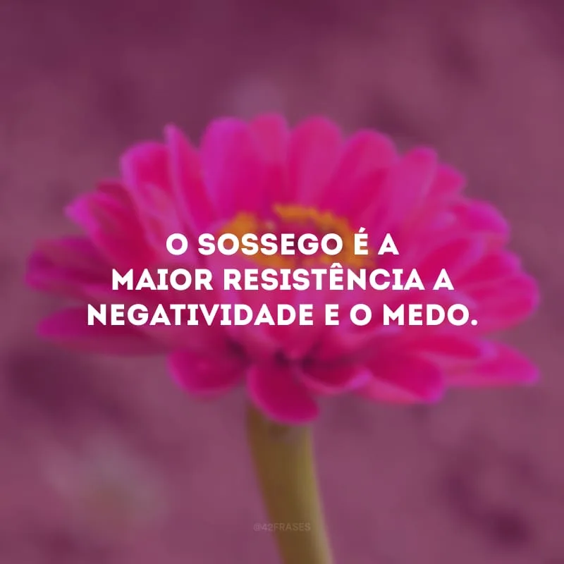 O sossego é a maior resistência a negatividade e o medo.
