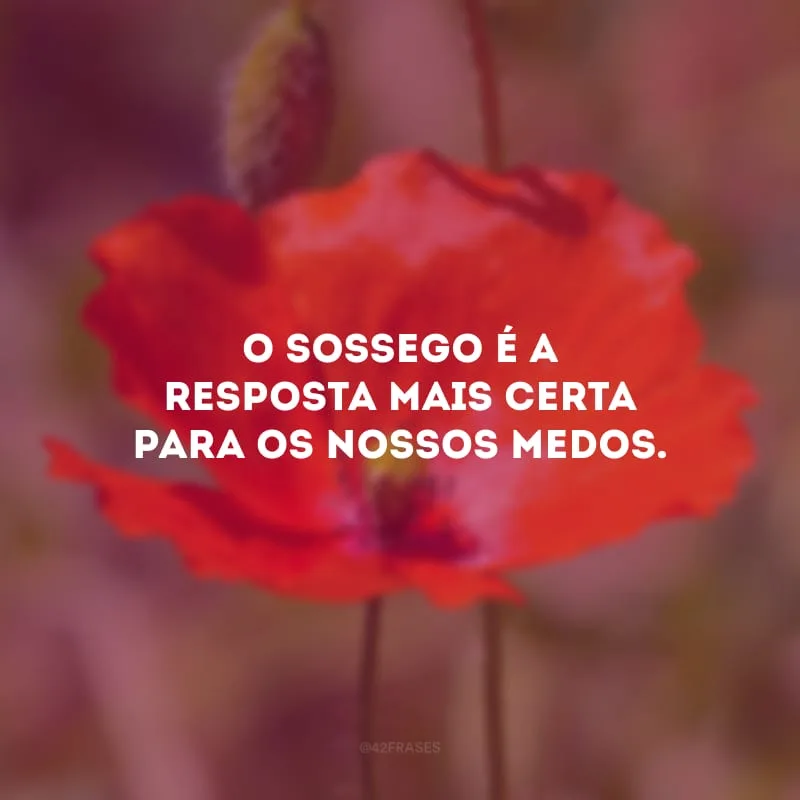 O sossego é a resposta mais certa para os nossos medos.