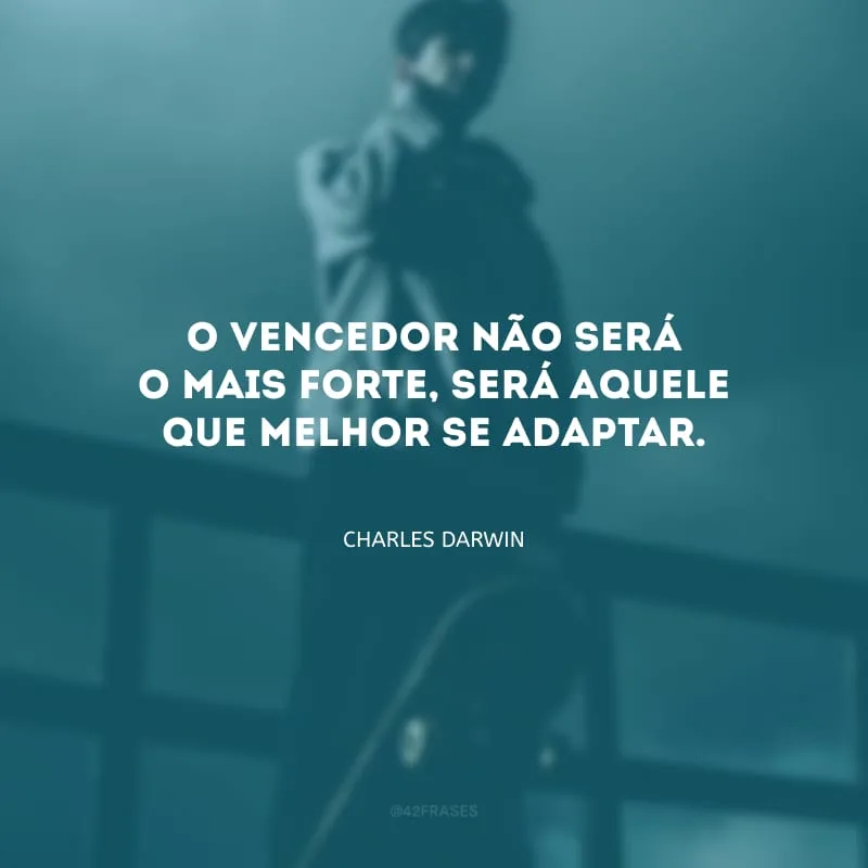 O vencedor não será o mais forte, será aquele que melhor se adaptar.