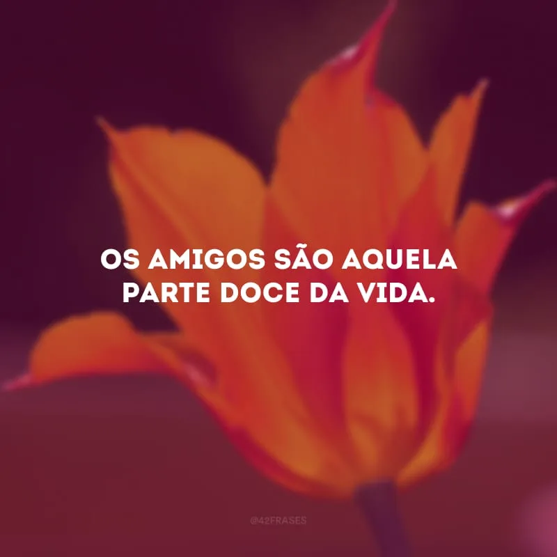 Os amigos são aquela parte doce da vida. 
