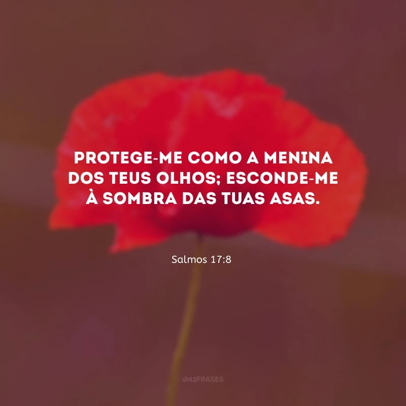 Protege-me como a menina dos teus olhos; esconde-me à sombra das tuas asas.