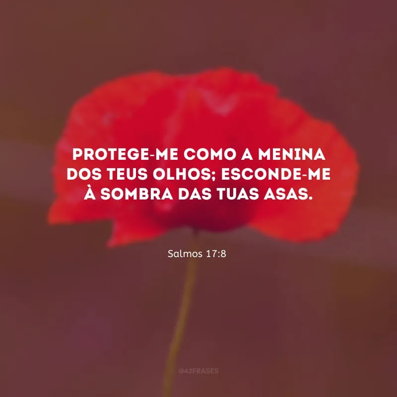 Protege-me como a menina dos teus olhos; esconde-me à sombra das tuas asas.