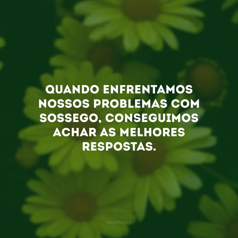Quando enfrentamos nossos problemas com sossego, conseguimos achar as melhores respostas.