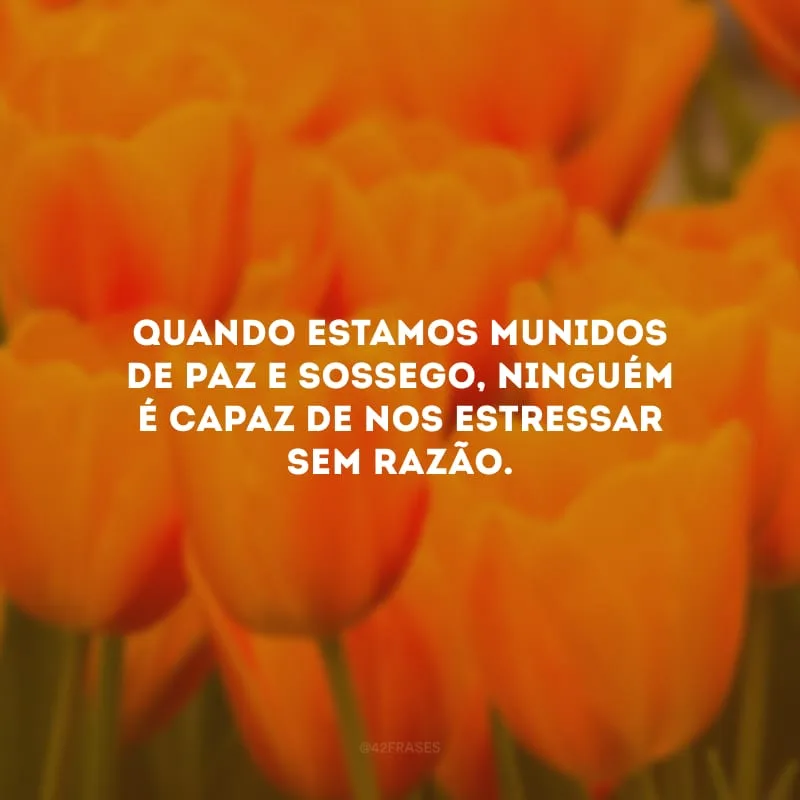 Quando estamos munidos de paz e sossego, ninguém é capaz de nos estressar sem razão.