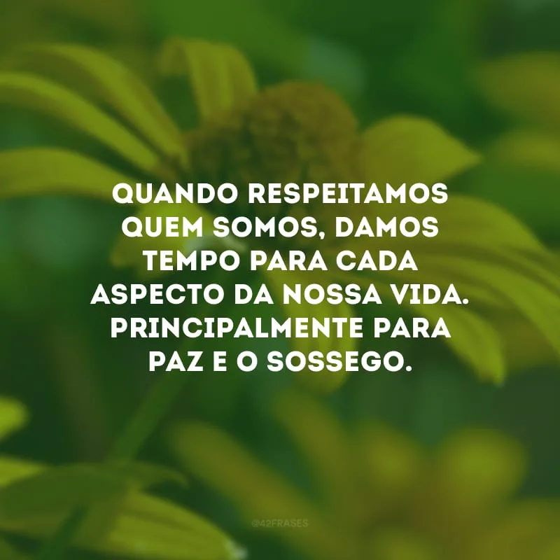 Quando respeitamos quem somos, damos tempo para cada aspecto da nossa vida. Principalmente para paz e o sossego.