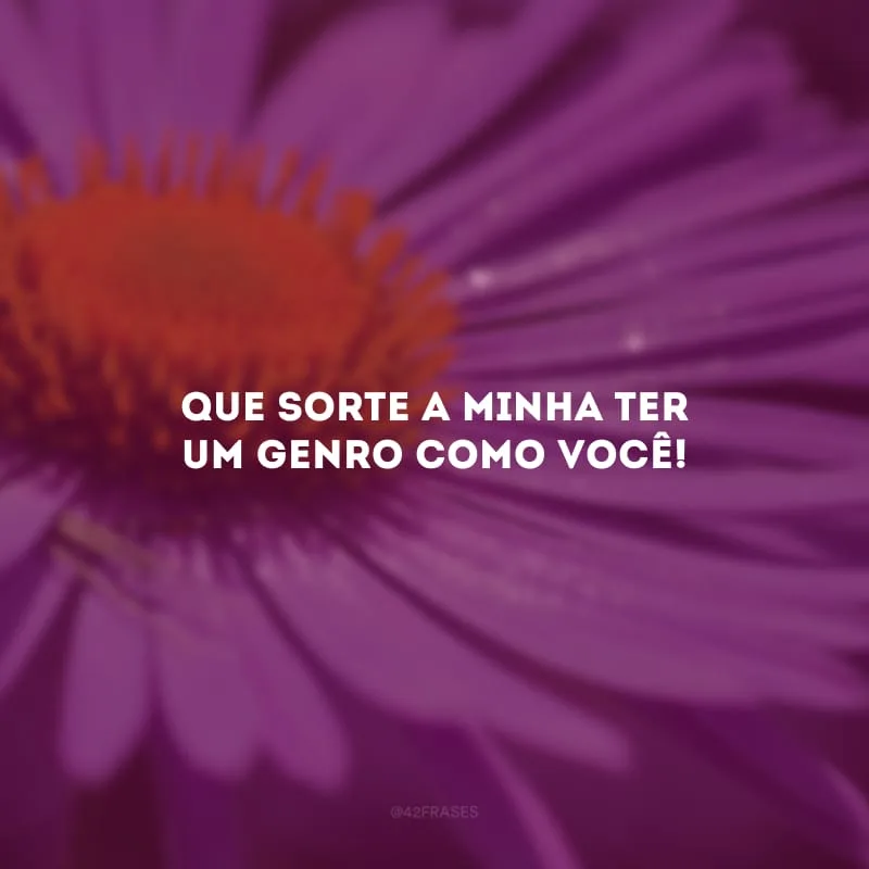 Que sorte a minha ter um genro como você!
